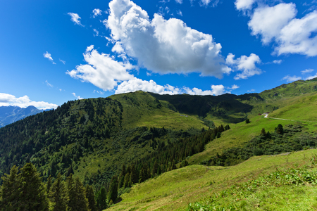 Summer mountain landscape. Austria, Tirol, Zillertal, High Alpine Roadの写真素材