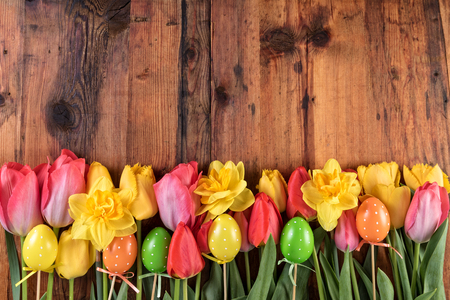 Red and yellow tulips daffodil flowers with Easter eggs on dark wooden background. Top view, copy spaceの写真素材