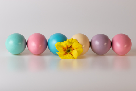 Painted Easter Eggsの写真素材