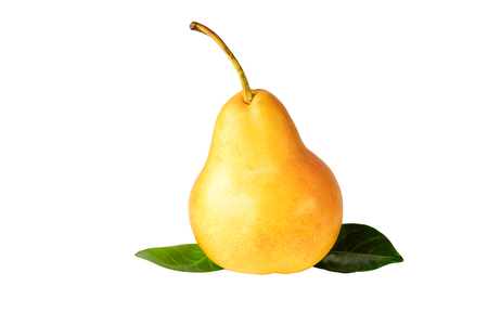 Pear one organic yellow fruit isolated on white. Clipping Pathの写真素材