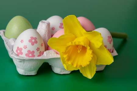 Close Painted Easter Eggs Yellow Daffodil Flower On Greenの写真素材