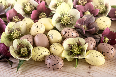 Easter holiday composition in pastel colors. Easter eggs with spring flowers closeupの写真素材
