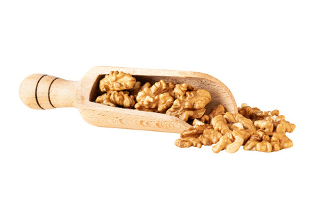 walnuts  in scoop isolated on white clipping path includedの写真素材