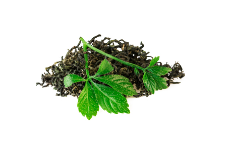 Chinese Jiaogulan Leaf Tea of Gynostemma Plant Isolaetd on Whiteの写真素材