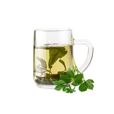 Chinese herb tea Jiaogulan Miracle grass. Image included clipping pathの写真素材