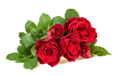 fresh red roses bouquet isolated on white backgroundの写真素材