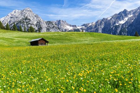 Amazing view of austrian alps and meadow near Walderalm, Austria, Gnadenwald, Tyrol Regionの写真素材