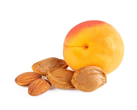 Apricot fruit with apricot kernel and apricot stones isolated on whiteの写真素材