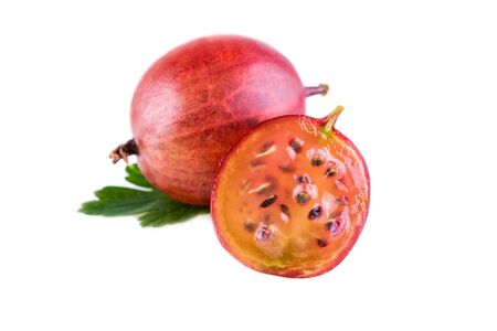 Red gooseberries in close-up. Gooseberries isolated on white background.の写真素材