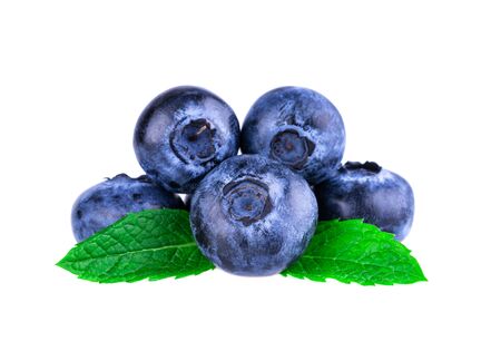 Blueberries in close up. Stack of blueberries with mint leaf isolated on white.の写真素材