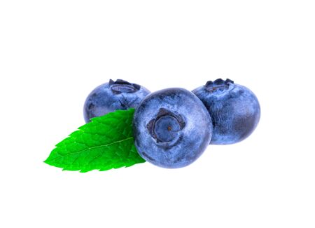 Blueberries three fresh blueberry isolated on white backgroundの写真素材