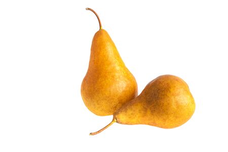 Pear. Two organic pear fruits isolated on white background.の写真素材