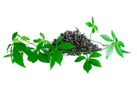 Miracle grass, Southern ginseng, Gynostemma pentaphyllum, Five Leaves Ginseng, Herb of Immortality on Whiteの写真素材