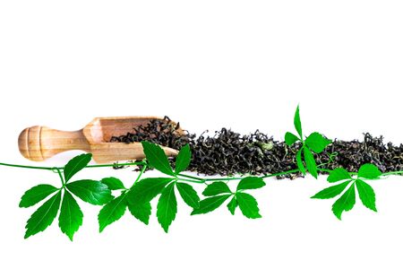 Miracle Grass Jiaogulan fresh leaves with dried herb isolated on whiteの写真素材