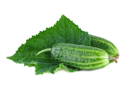 Cucumbers. Two fresh organic cucumbers with leaves isolated on whiteの写真素材