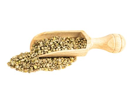 Hemp seeds in wooden scoop spoon isolatated on whiteの写真素材