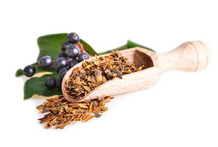 Buckthorn bark in wooden scoop. Chopped alder buckthorn tree bark on white backgroundの写真素材