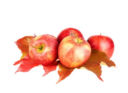 Red apple fruits on autumn leaves isolated on whiteの写真素材