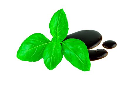 Basil leaf with balsamic vinegar drops on white. Italian food cuisine conceptの写真素材