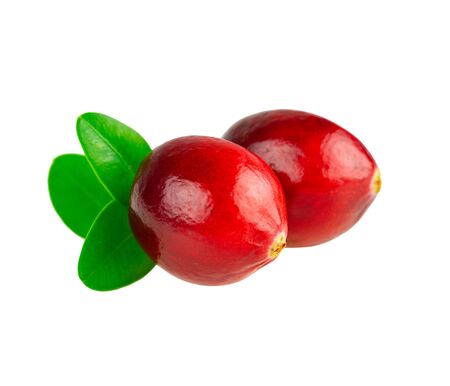 Cranberries closeup. Two cranberry with leaves on white backgroundの写真素材