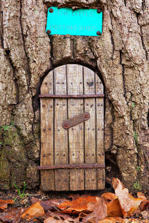 Fairy door in a tree trunk with autumn leaves on the ground in front of the entrance. With space for text. The little potting shed is closed, at lunch.の写真素材