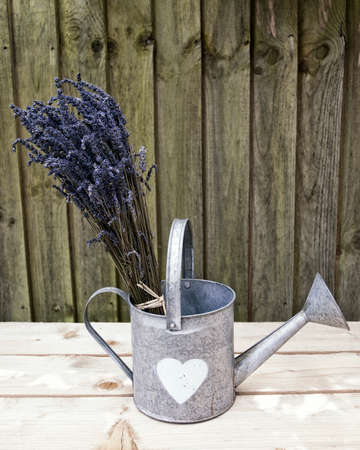 Bunch of lavender in a tin watering can on a wooden surface with wood in the background. Bleach effect an space for text.の写真素材