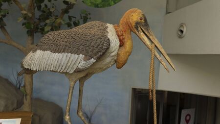 Daily Social Life in Cityのeditorial素材