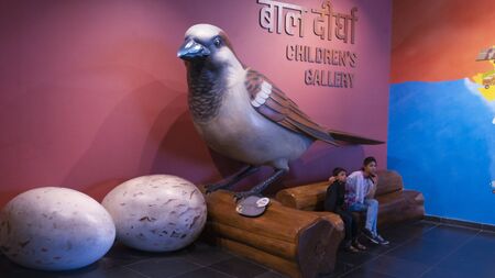 Daily Social Life in Cityのeditorial素材