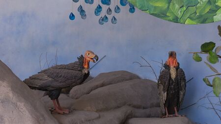 Daily Social Life in Cityのeditorial素材