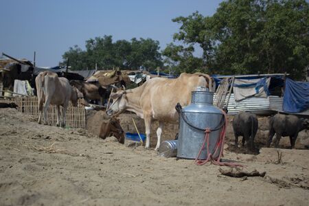 Healthy India begins here and reaches to youのeditorial素材