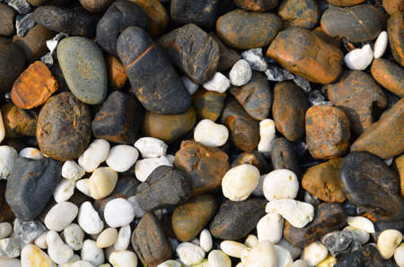 White stone and brown stone on the landの写真素材