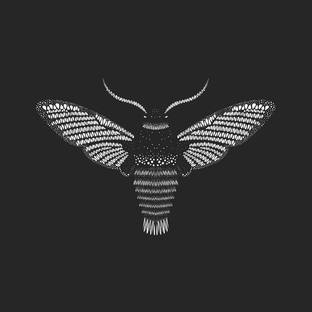 Amazing fly butterfly on black background. Vector. Creative concept for invitations  cards. Black and whiteのイラスト素材