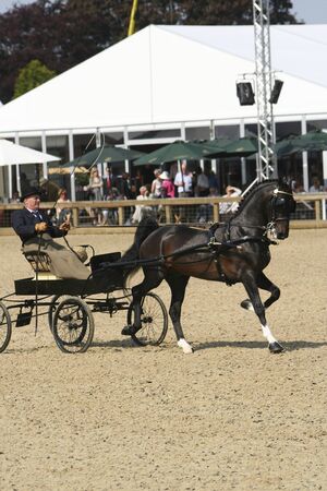 Windsor, UK - May 11, 2006: Performers take part at Royal Windsor Horse Show, largest outdoor equestrian Show in the UK. The event has been running for over 65 years and takes place in the Queen¡¯s private grounds at Windsor Castle.

のeditorial素材