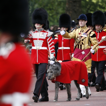 London, UK - June 16, 2012: Queen's Bands at Queen's Birthday Parade. Queen's Birthday Parade take place to Celebrate Queen's Official Birthday in every June in London. 

のeditorial素材