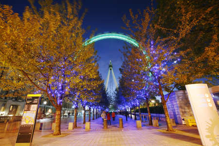 London, UK - November 2, 2012: Night view of The London Eye on November 2, 2012, London, England. A famous tourist attraction at a height of 135 metres (443 ft) and the biggest Ferris wheel in Europe.
のeditorial素材