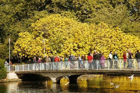 London, UK - October 29, 2012: People enjoy autumn color on bright sunny day at St James's Park, bounded by Buckingham Palace, oldest royal parks in London, 
のeditorial素材