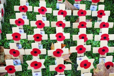 Remembrance day display, wooden crosses with poppies, Westminster Abbeyのeditorial素材