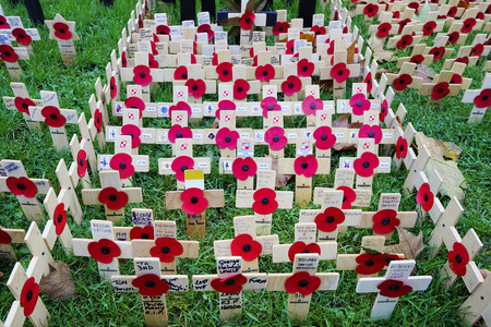 Remembrance day display, wooden crosses with poppies, Westminster Abbeyのeditorial素材