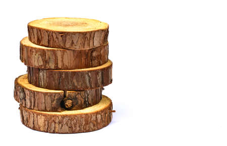 sawed tree trunk with white backgroundの写真素材