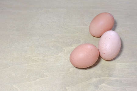 eggs on neutral background