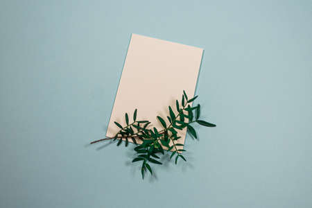 Minimalistic composition with white blank card and sprig of greenery on a trendy blue pastel background. Mockup with blank card. Place for text. Flat lay. Top view.の写真素材