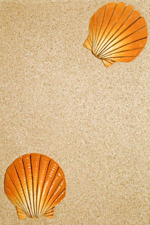 Sand and shellsの写真素材