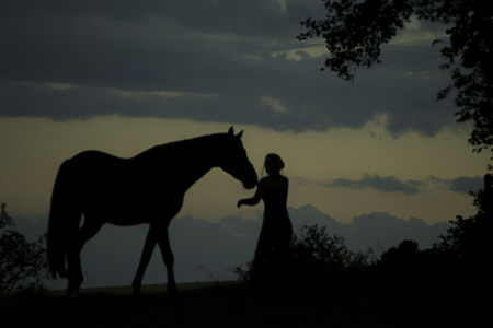 Silhouette of girl with horseの写真素材