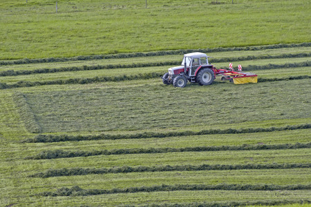 Tractor at work on fieldの写真素材