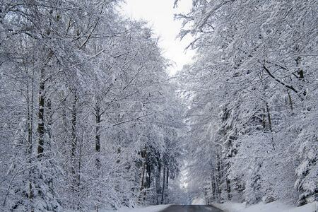 Snowy landscapeの写真素材