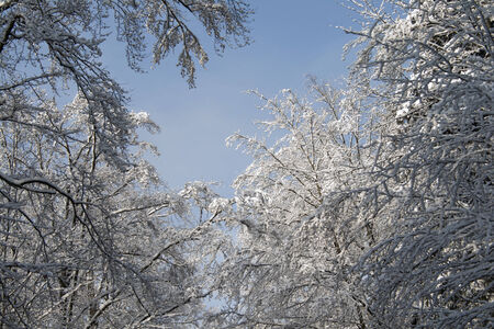 Snowy landscapeの写真素材