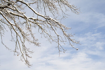 Snowy landscapeの写真素材