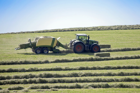 Harvesting hay tractor work on field make haystacksの写真素材