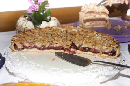 Plum cakeの写真素材