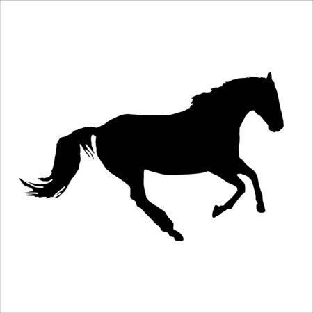 Horse gallop vectorのイラスト素材